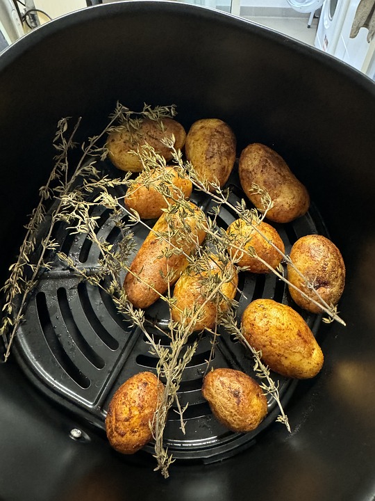 10 Easy and Delicious Air Fryer Recipes to Try Today