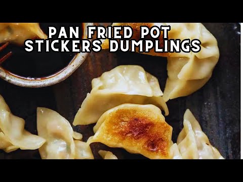 Pan Fried Pot Stickers Dumplings – Besuretocook Recipe