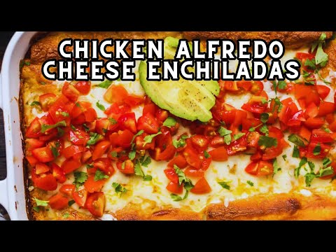 Chicken Alfredo Cheese Enchiladas Recipe – Besuretocook Recipe